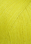 Alpaca soxx 4-ply 013